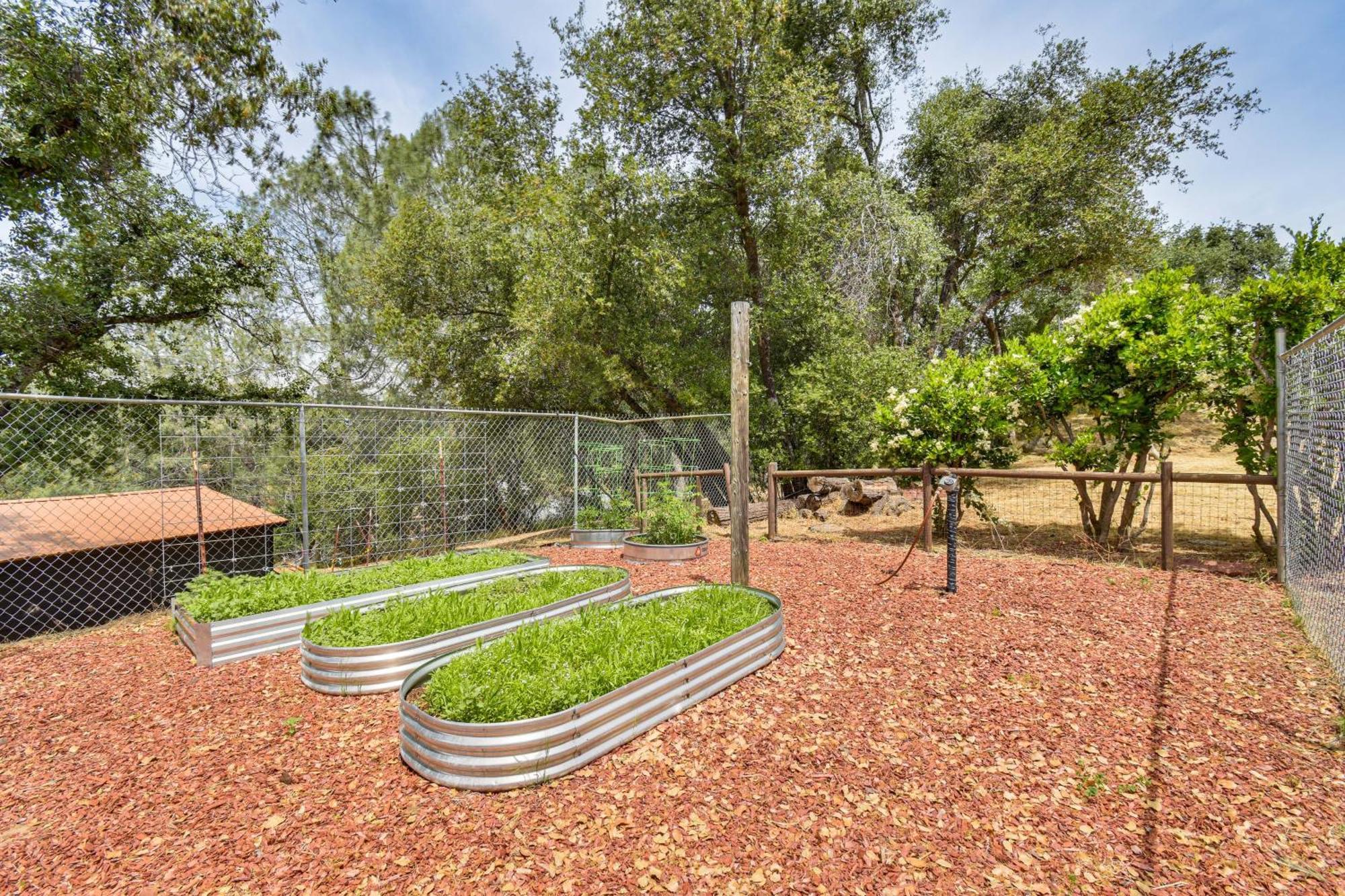 Yosemite Wellbeing Retreat On 5 Acres With Mtn Views Διαμέρισμα Ahwahnee Εξωτερικό φωτογραφία